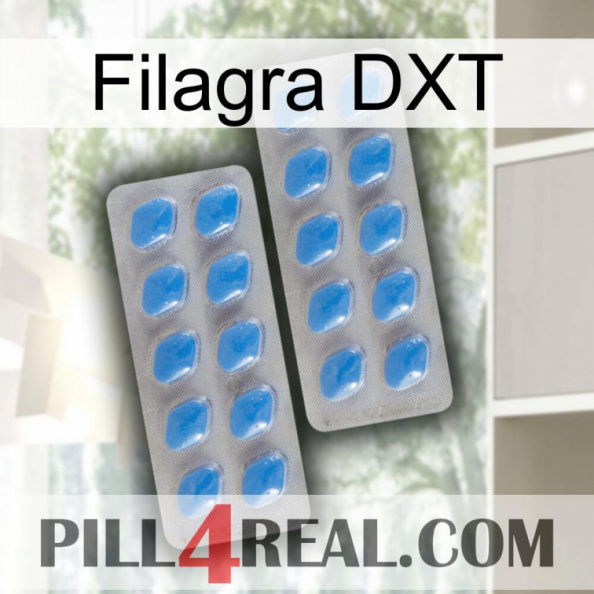 Filagra DXT 23.jpg